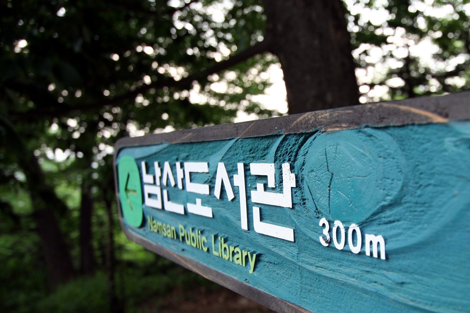 나무 사이에 남산도서관 300미터라고 쓰인 초록색 나무 안내판이 서 있어요.