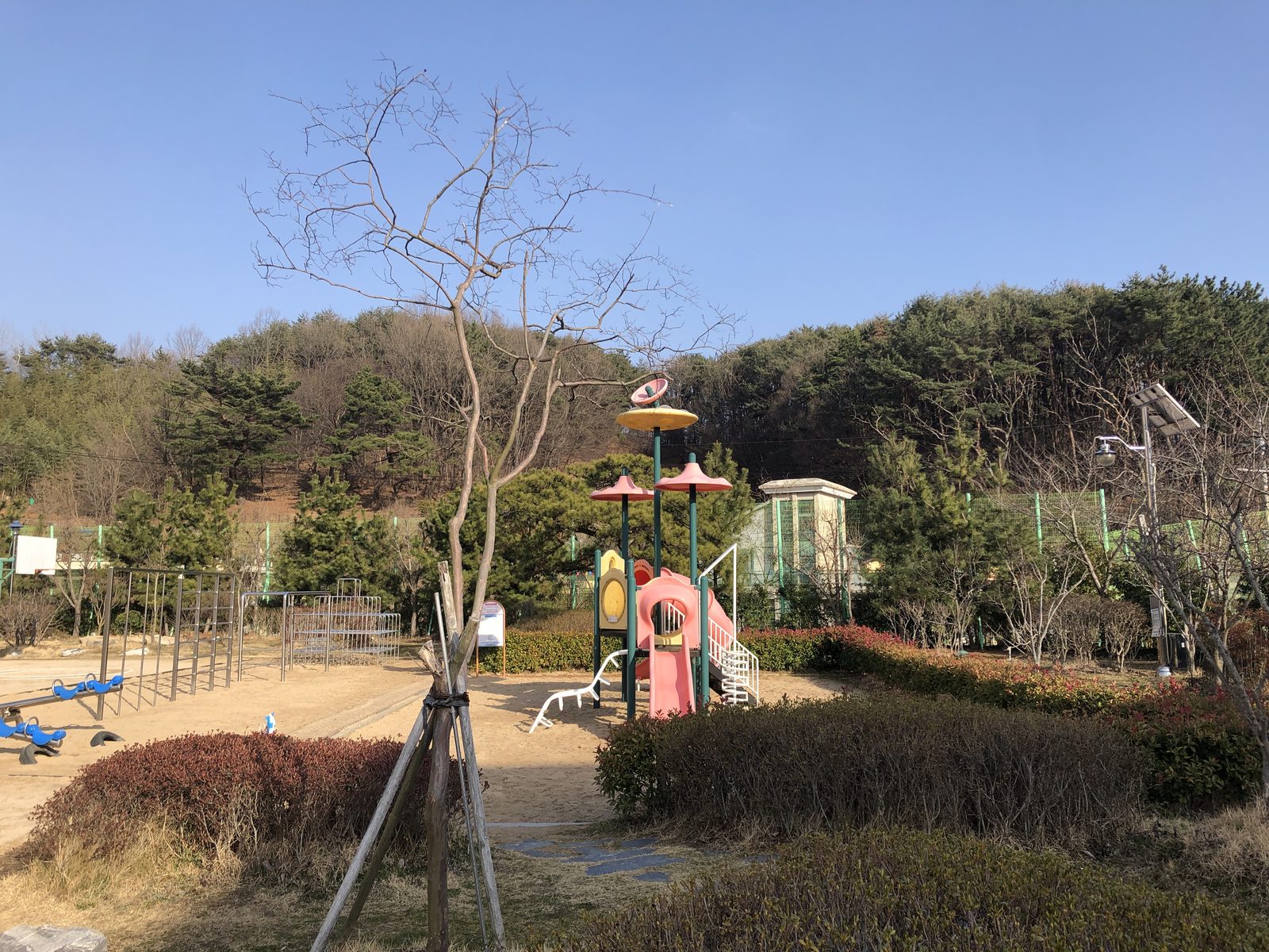 학교 놀이터에 분홍색 미끄럼틀과 시소가 있어요. 뒤로 소나무가 우거진 언덕이 보여요.