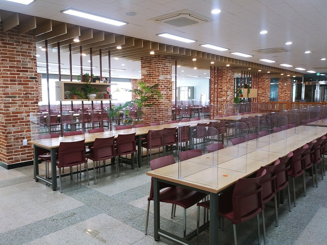 점심시간 전의 빈 학교 급식실. 긴 식탁마다 투명 칸막이가 서 있고 자줏빛 의자가 줄지어 놓여 있다